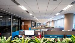 PLQ3 (D15), Office #639836871